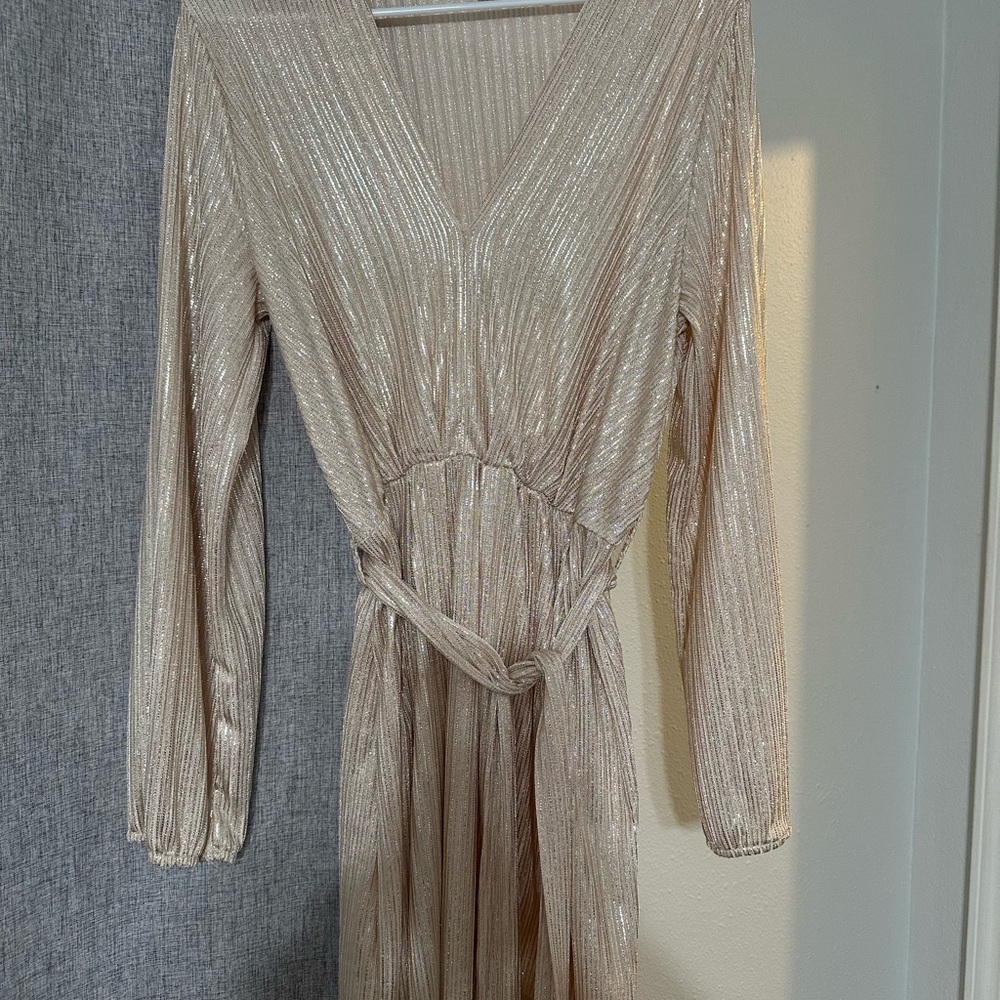 Dress Forum Champange shimmer long sleeve dress
